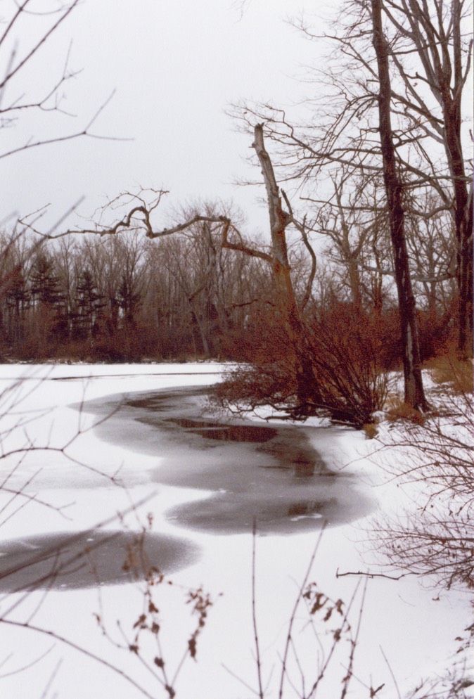 12-81-D17