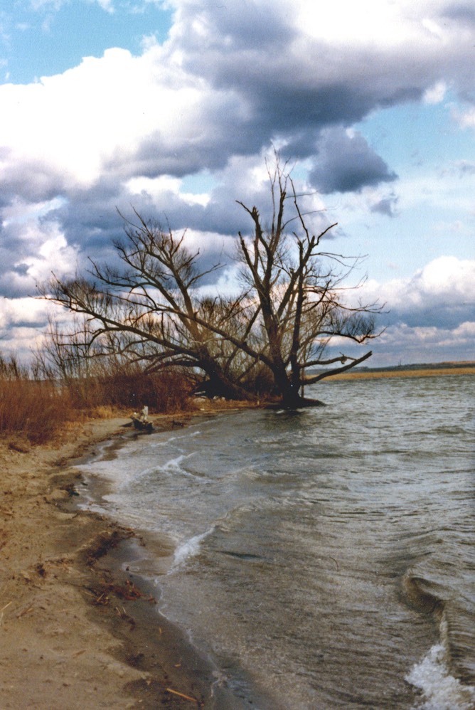 12-82-A30