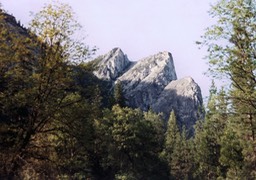 1984-05-D014