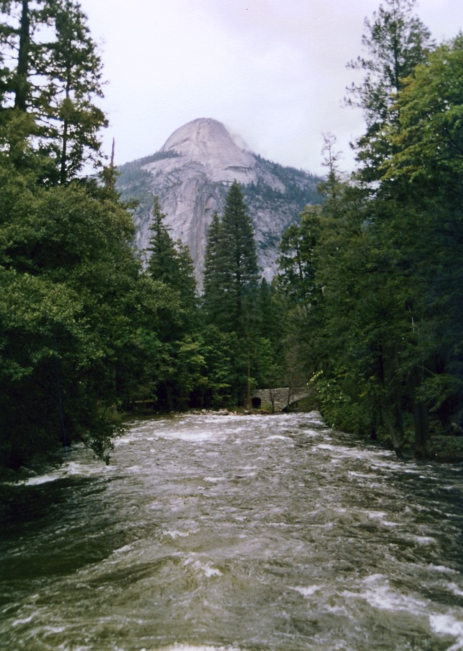 1984-05-D034