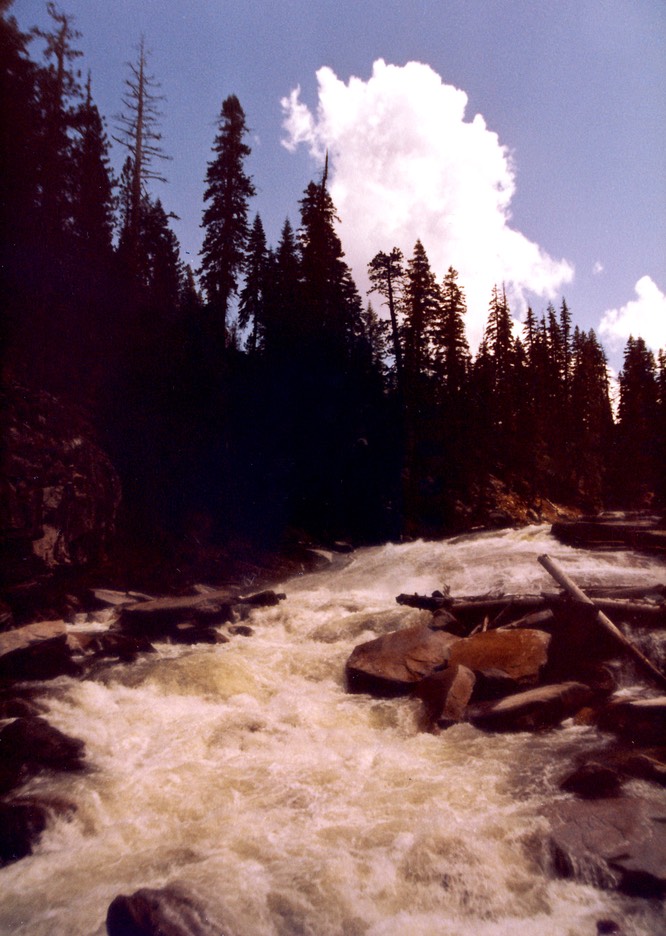 1984-05-D074