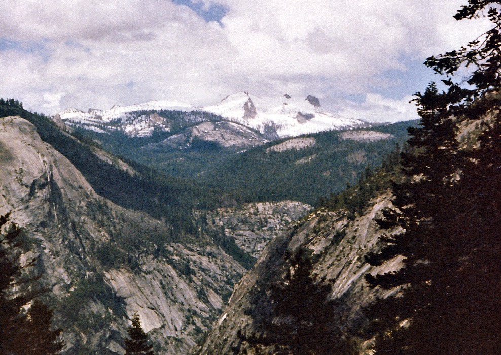 1984-05-D077
