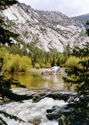 1984-05-D124