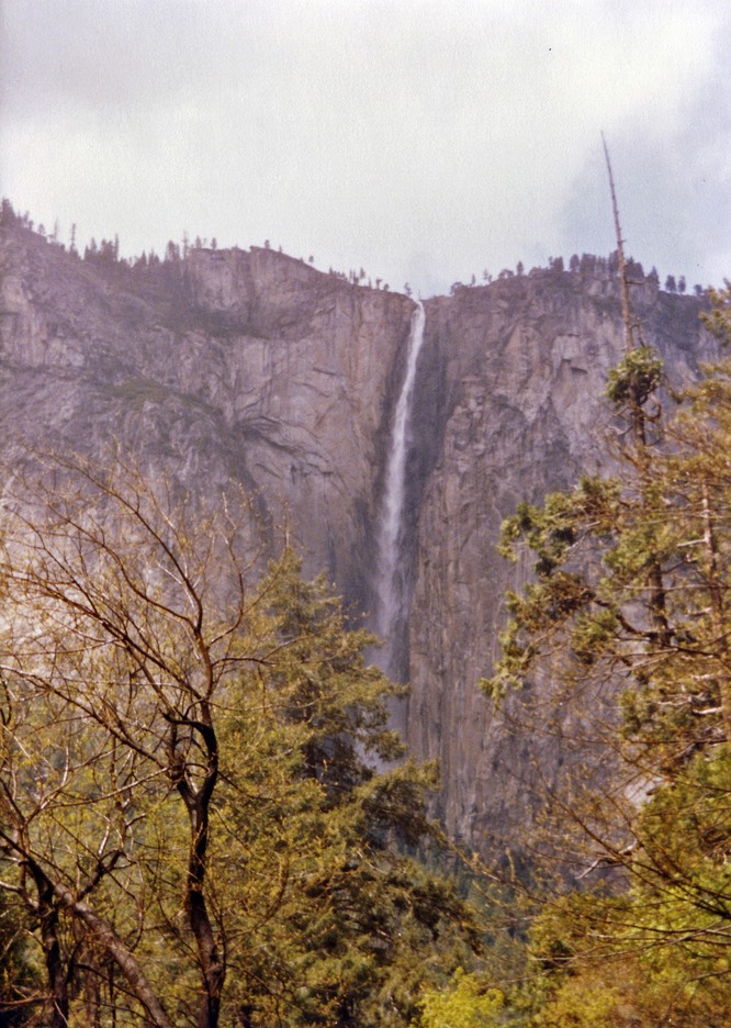 1984-05-D135