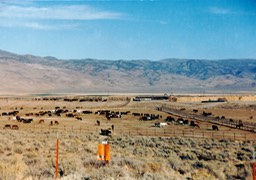 1984-10-A24
