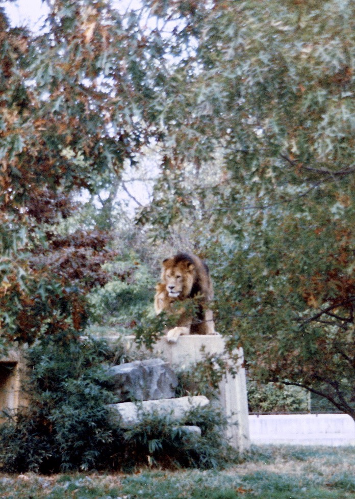 1984-10-C09