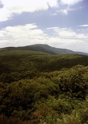 1986-07-C06