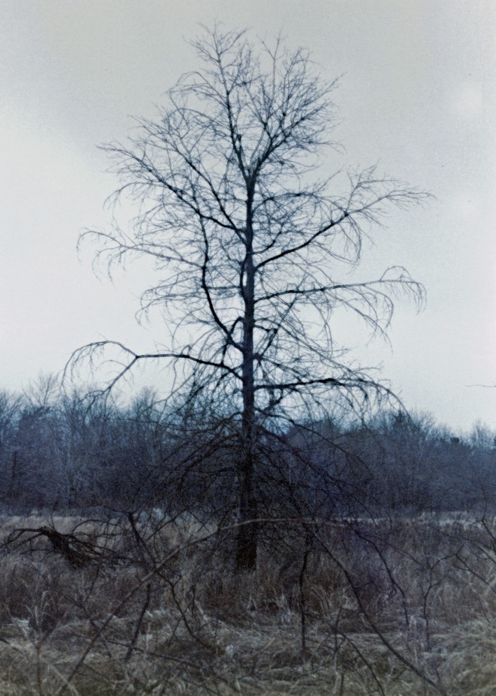 1986-12-B04