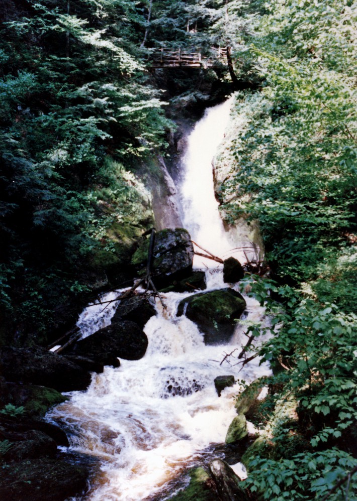 1987-06-A05