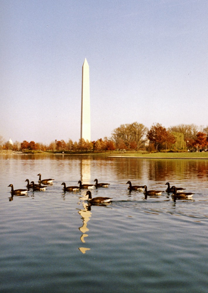 1987-11-B02