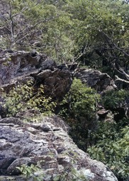 1988-07-A09