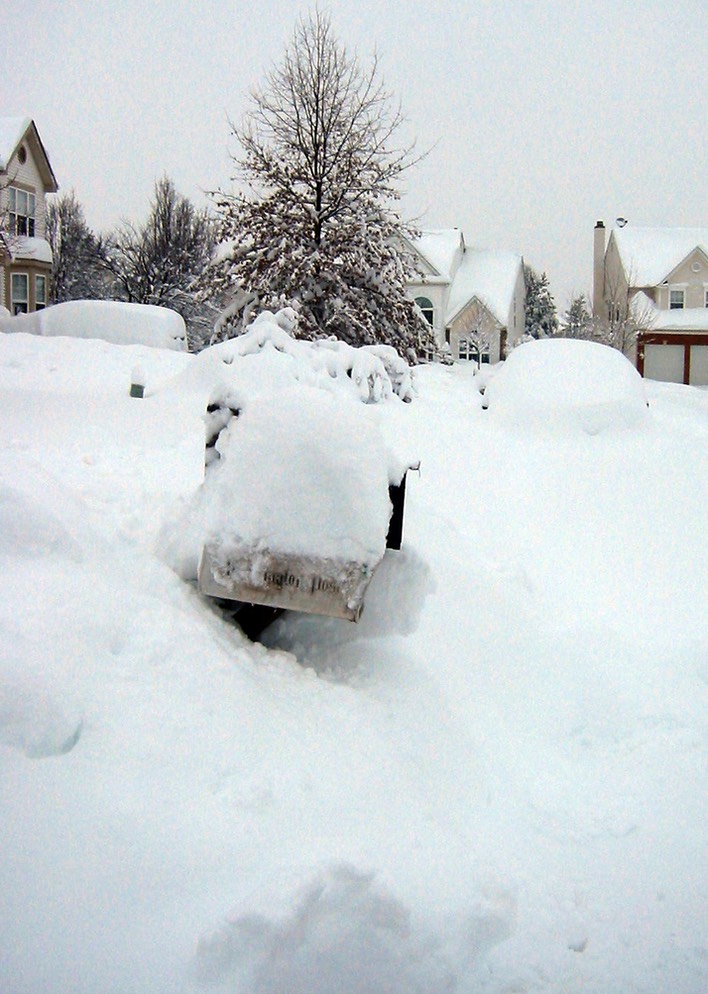 2010-02-A015.jpg