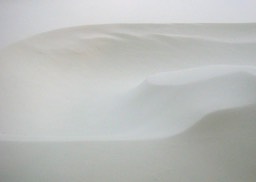 2010-02-B005.jpg