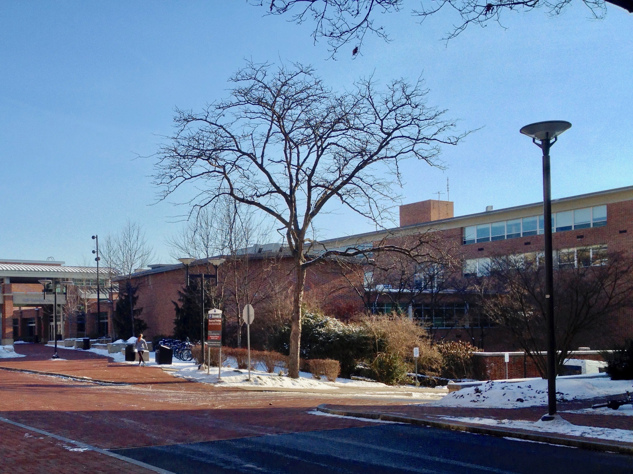 2013-01-27 09.39.21 HDR.jpg