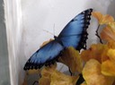 6-23