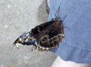 6-24