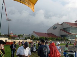 8-29