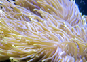 Aquarium 3