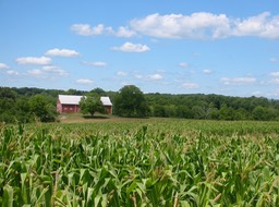 IMG_0001.JPG