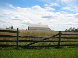 IMG_0016.JPG