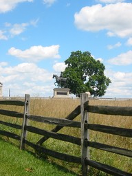 IMG_0017.JPG