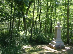 IMG_0034.JPG