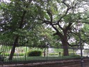 IMG_0034.jpg
