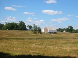 IMG_0039.JPG