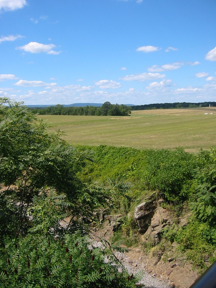IMG_0045.JPG