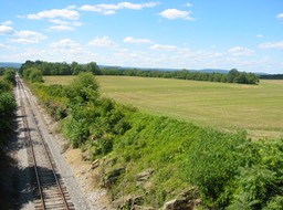 IMG_0046.JPG