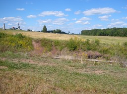 IMG_0048.JPG