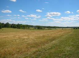 IMG_0049.JPG