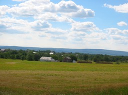 IMG_0054.JPG