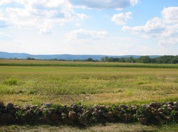 IMG_0070.JPG