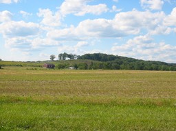 IMG_0073.JPG