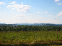 IMG_0078.JPG