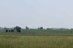 IMG_0173