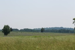 IMG_0174