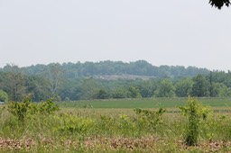 IMG_0180