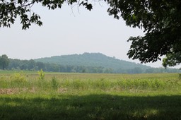 IMG_0181