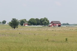 IMG_0183