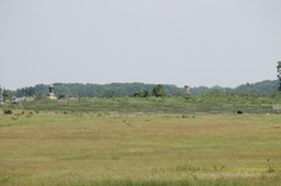 IMG_0184