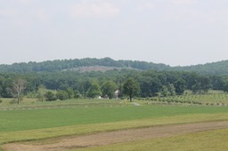 IMG_0187