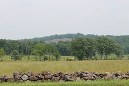 IMG_0213