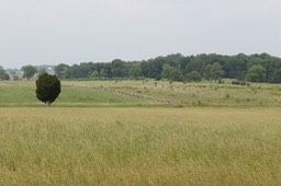 IMG_0215