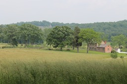 IMG_0216