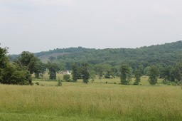 IMG_0220