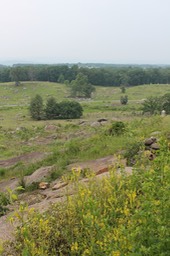 IMG_0239