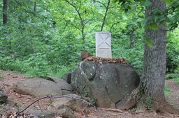 IMG_0241