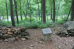 IMG_0257